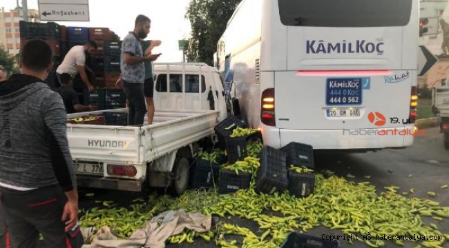 Otobüsle kamyonet çarpıştı, sebzeler yola !