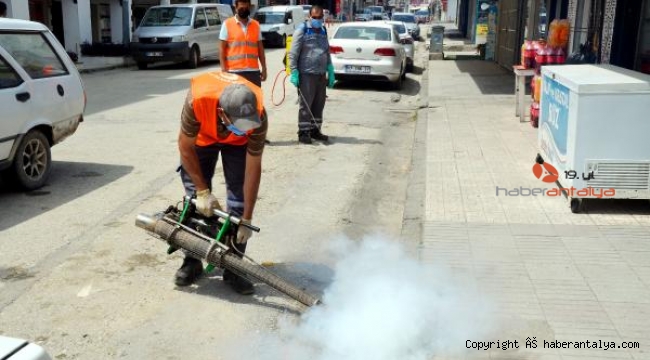 Serik'te sinek ve haşere mücadelesi