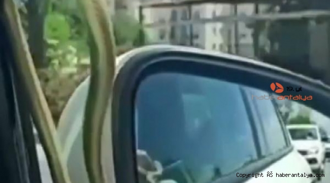 Seyir halindeyken camdan yılan gördüler !
