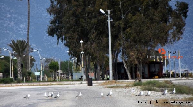 Yollar onlara kaldı