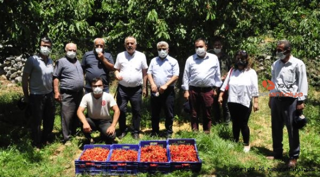 17 yıl önce dikilen fidanlar, ihracat kapısı oldu