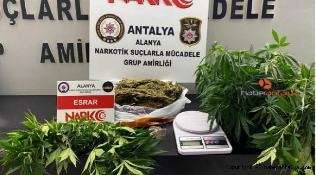 Alanya'da uyuşturucu operasyonu: 1 gözaltı !