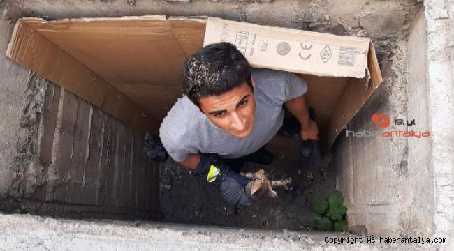 Büyükşehir itfaiyesinden kedi kurtarma operasyonu