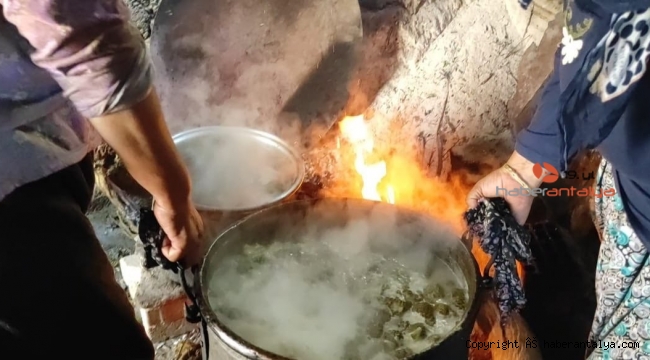 Çam ağaçlarından toplanıp kaynatılıyor, kilogramı bakın ne kadara alıcı buluyor ?