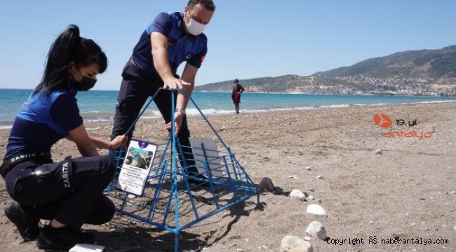 Caretta yuvalarına tel kafesli koruma
