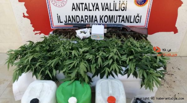 Finike Jandarması'ndan uyuşturucu operasyonu !