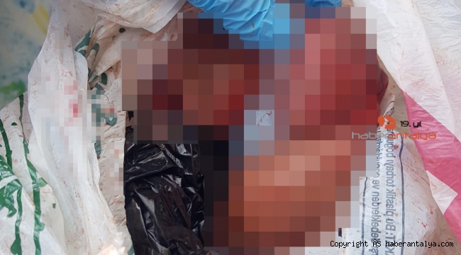 İnanılmaz olay ! Cadde ortasında düşük yapan kadın, bebeğini çöpe attı !