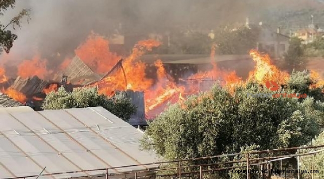 Kereste atölyesi alev alev yandı !