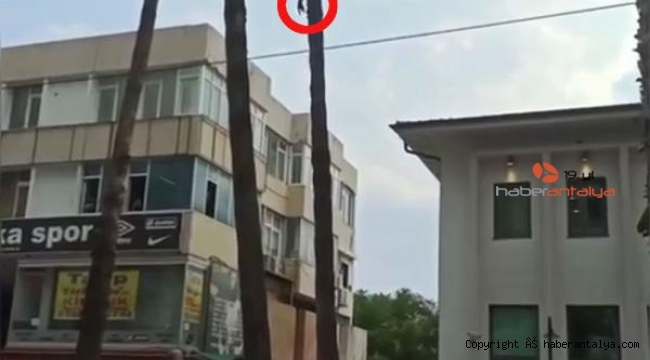Mahsur kaldığı ağaçtaki kediyi, açılan bez kurtardı