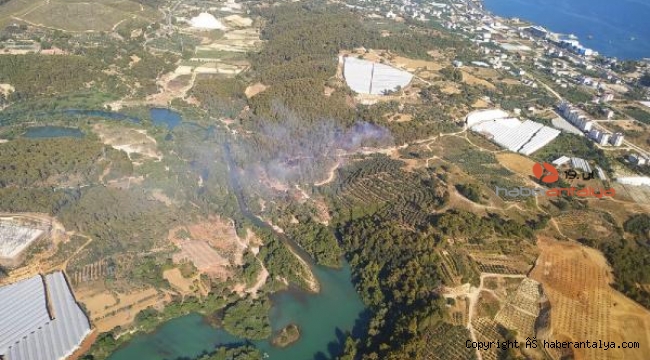 Alanya'da çıkan orman yangını korkuttu