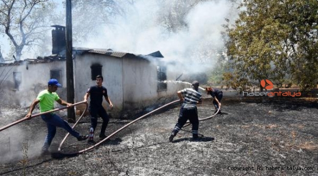 Ev ve zeytin ağaçları alevlere teslim oldu