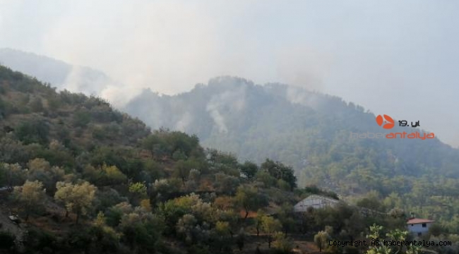 Gazipaşa'da 4 farklı noktada çıkan yangınlardan 3'ü kontrol altında