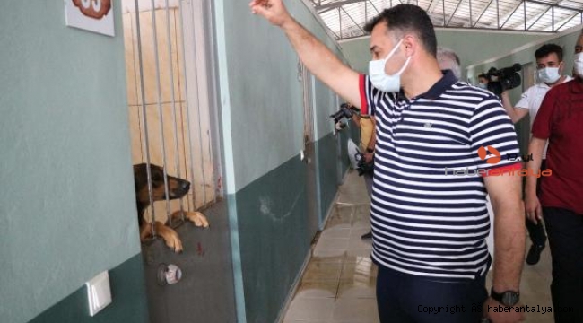 Hayvanların bakımsızlıktan öldüğü iddialarına cevap belediye başkanından geldi