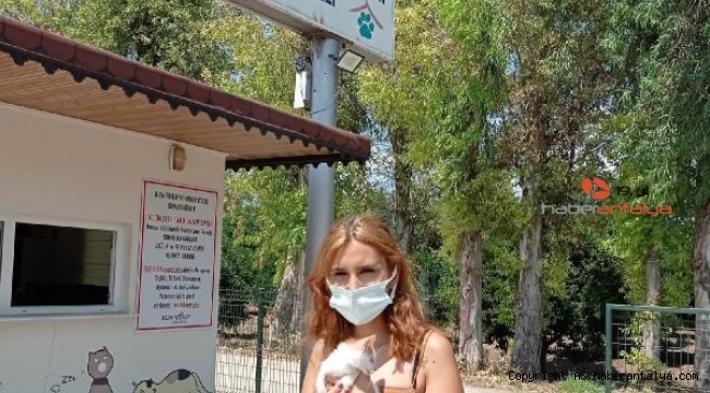 Konyaaltı'nda hayvan barınağı ziyarete açıldı