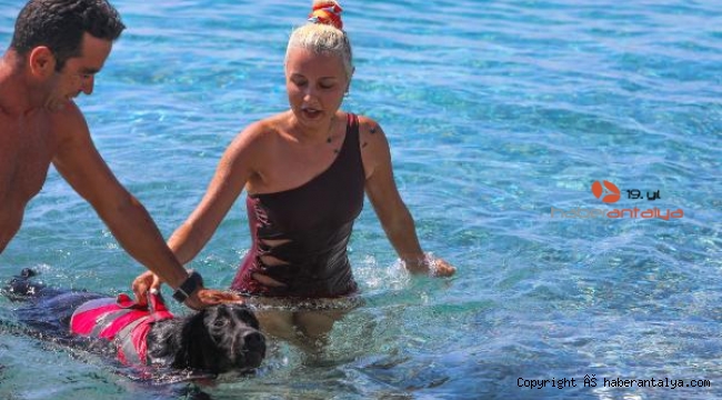 Köpeği 'Misha'ya cankurtaran eğitimi veriyor