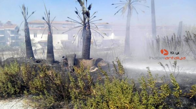 Manavgat'ta fidanlar yandı !