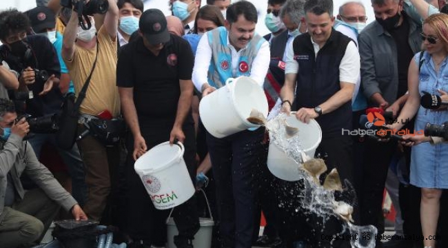 Marmara'nın balıkları Antalya'dan gidiyor