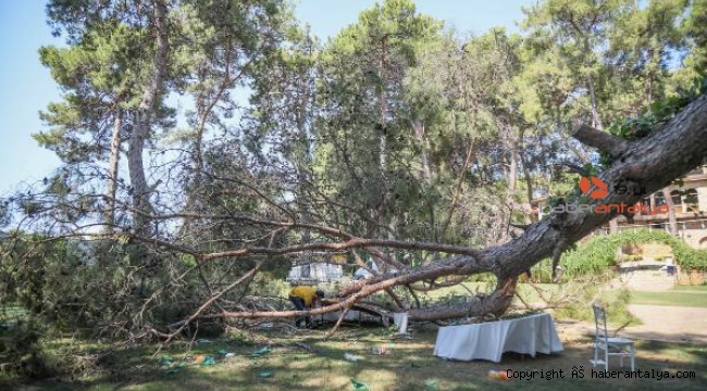 Ölümle sonuçlanan düğün; Yetkiliden ihmal açıklaması geldi