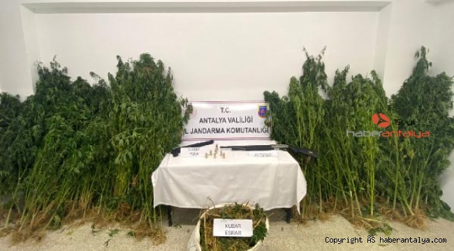 Uyuşturucu operasyonuna 2 tutuklama