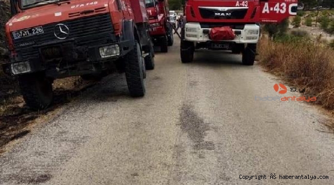 Yangın ormana sıçramadan önlendi