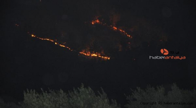 Yine, yeniden ! Gazipaşa'da 4 farklı noktada orman yangını