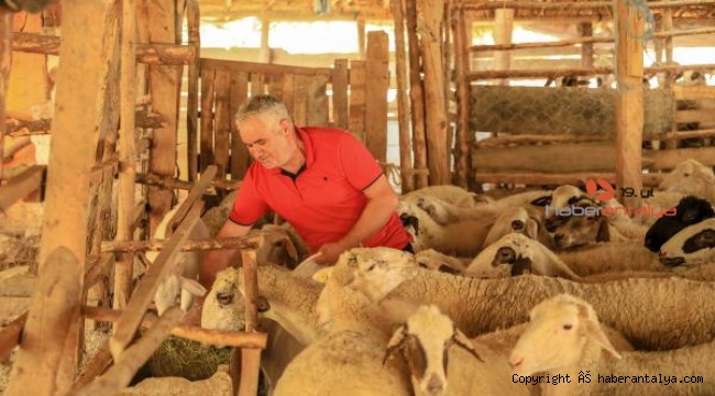 300 canla 30 kilometrelik kaçış
