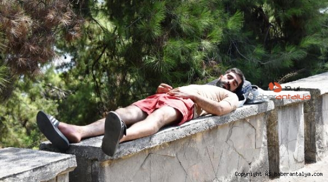 40 derece sıcakta hareketsiz yatarken bulundu !