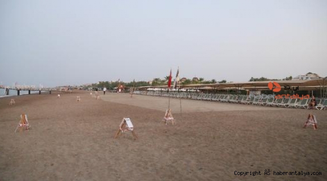 Caretta carettalar için tuzak inadı !