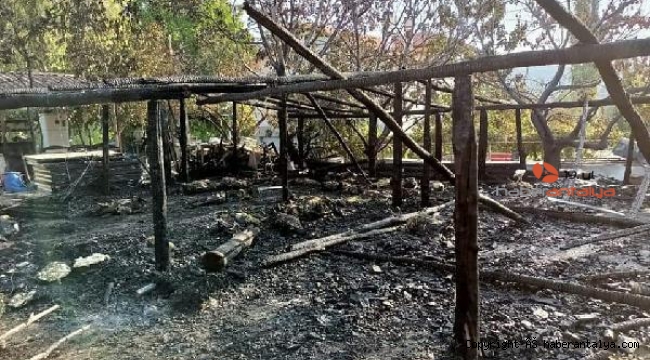 Ağılda çıkan yangında 38 koyun canlı canlı yandı !
