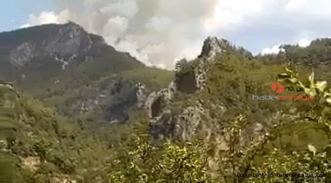 Alanya'da bir orman yangını daha !