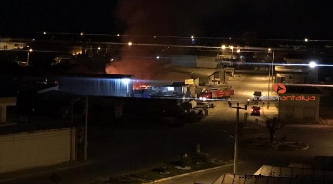 Alanya'da yangın korkuttu