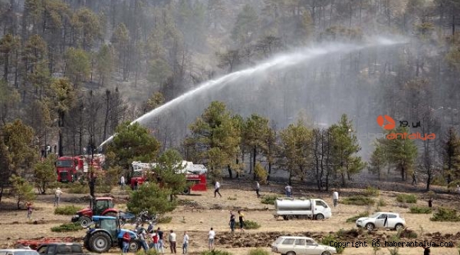 Burdur Tefenni'de orman yangını kontrol altına alındı