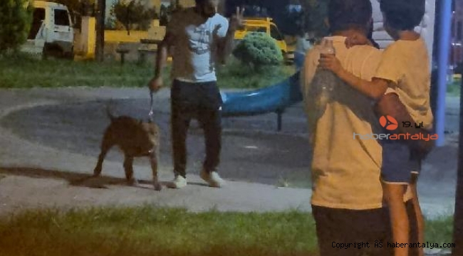 Çocuk parkında pitbul dehşeti !
