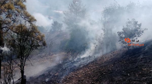 Gazipaşa'da bahçe yangını !