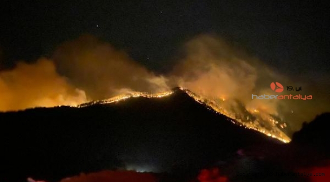 Isparta orman yangını 2'nci gününde; Yeşil örtü tamamen yandı