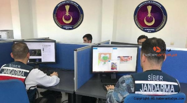Jandarma'nın 66 kişi ve 17 web sitesi hakkında işlem