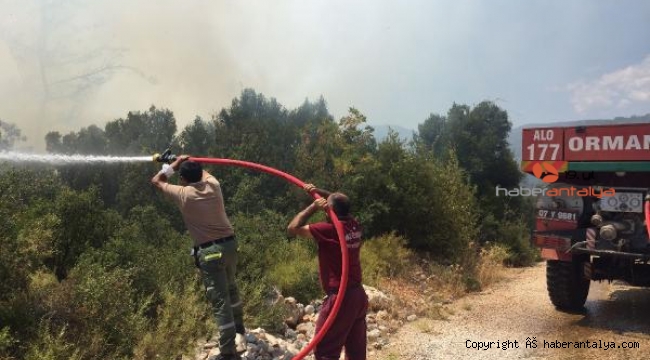 Kaş'ta makilik alanda yangın !