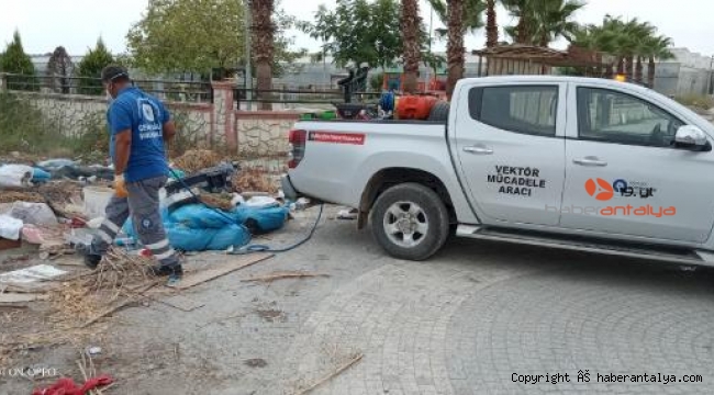 Manavgat'ta orman yangını bölgeleri ilaçlanıyor