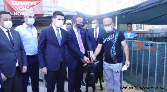 MHP'den yangınzedelere hayvan desteği