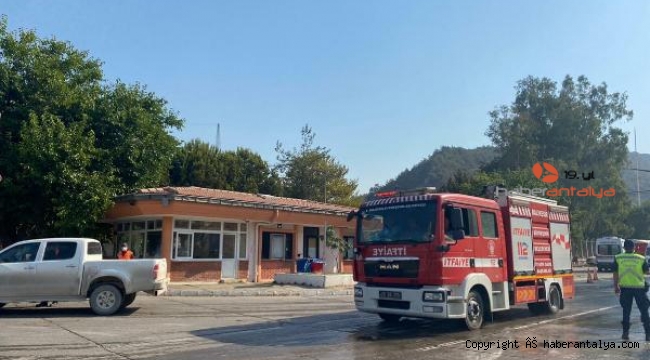 Milas yangınında 5'inci gün; Termik santral bölgesinde son durum