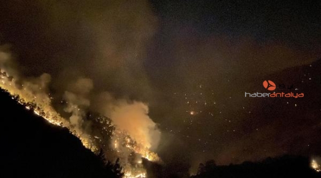 Muratpaşa ekipleri cansiperhane yangın yerinde