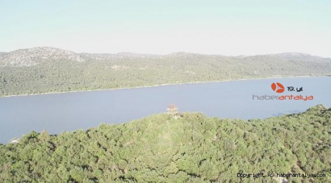 Ormanlık alanlar dronla kontrol ediliyor