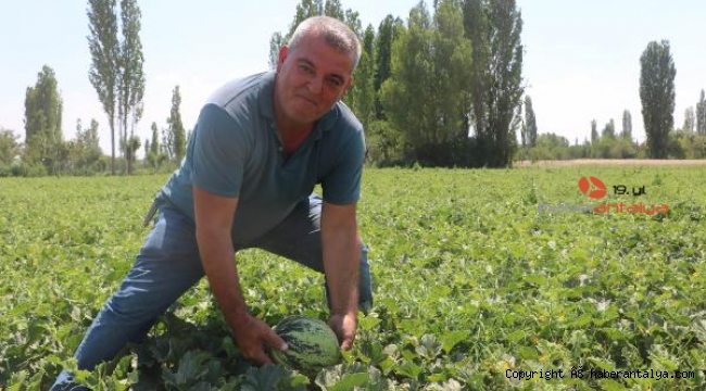 Pandemide işinden ayrıldı, memleketinde yetiştirmeye başladı