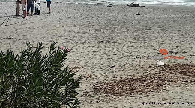 Rus turist, Alanya'da serinlemek için girdiği denizde boğuldu