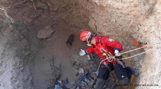 Su kuyusuna düşen domuz yavrusuna halatlı kurtarma