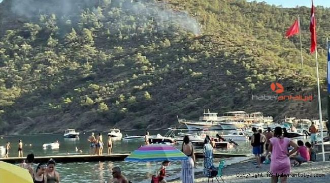Yangın çıkan ormanlık alandaki torpiller çocuklarınmış