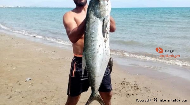 14 kiloluk liça balığı avladılar
