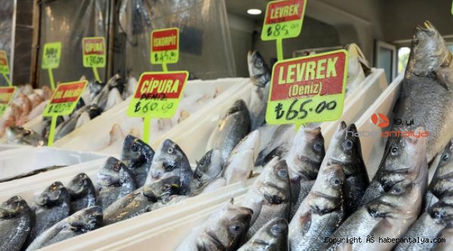 Akdeniz'de av yasağı sonrası balık fiyatlarını nasıl değişecek ?