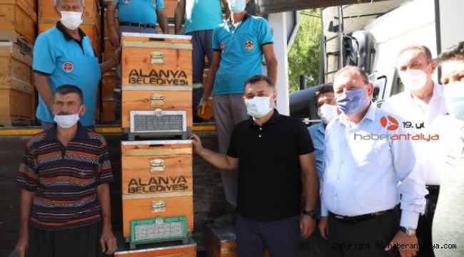 Alanya Belediyesi'nden yangınzede arıcılara 350 kovan