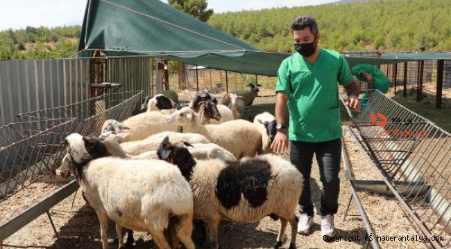 Başkan Böcek'ten mağdur aileye anlamlı yardım